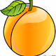 apricotkiwininja