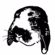 BunnyJOJO