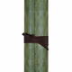 Longthic