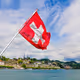 LoyalSwissWhale
