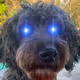 WenRetirement
