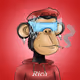 kushfit