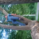0xa39e07467b1f349530a3aa3d5b6ff0a89ddf8e23