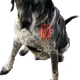 WTBSnaxx