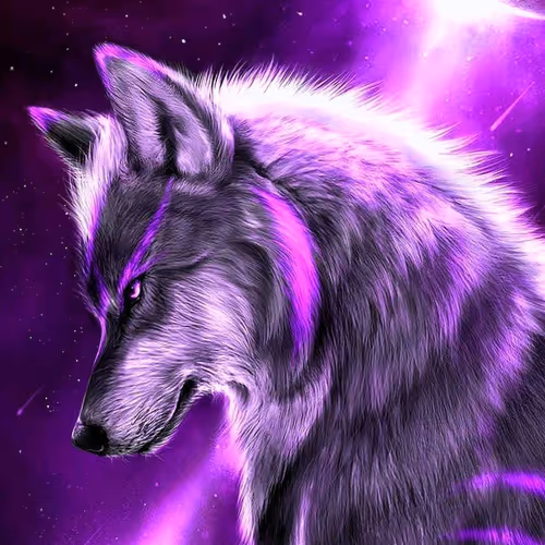 OpenSea profile picture for @JOSUEPAIVA