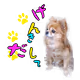tmei