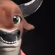 ShowiestBirch