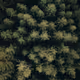 0xa423c25be6e354a857f0244029a21d7bd6d69bdc