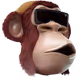 maxpump