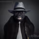 CryptoGangstaApes