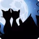 2BlackCats