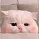 0xa4b1db94adcede266783dde273366be24ad45661
