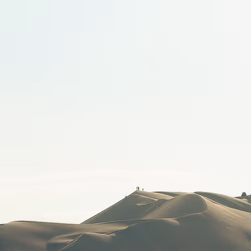OpenSea banner for @RichEst