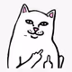 middlefingercat