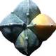 knskito