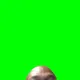 0xyogs