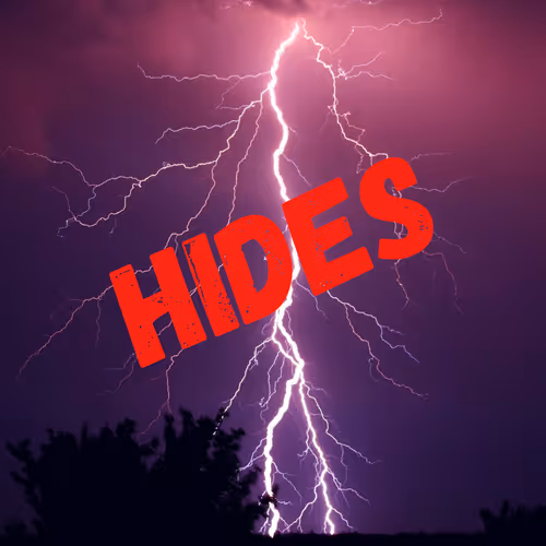 OpenSea profile picture for @Hides
