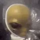LilMayo