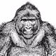 GoodNightGorilla