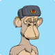 Igors_jpeg_gambling_wallet