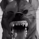 0xa5e58ca3e2e7656ac6ccbabae0fc23e163d8945b