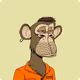 Telso_78
