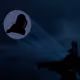 0xBag