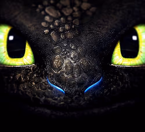 OpenSea banner for @Lob