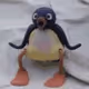 surprisedPingu