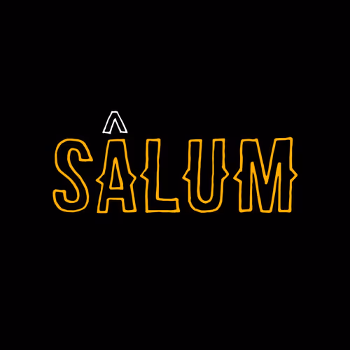 OpenSea profile picture for @Salum