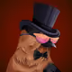 Chestertun