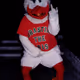 CaneDoc