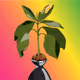 Mucho_The_Tree