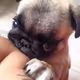 BrunoH