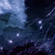 ATRACTOR_ESTUDIO