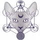 HappyCatty-Jay