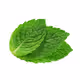 WinanMint