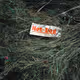 Yuriy_Kob
