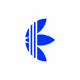 adidasDev