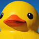 Quacker