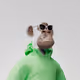 VHART_Hape