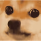 vitoBork