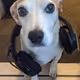 dancruzxr