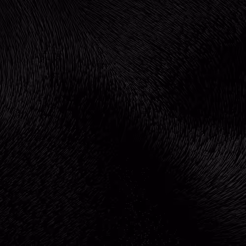 OpenSea banner for @had