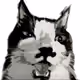 wild_cat_nft