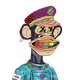 Zoom-NFT