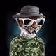 MrCryptoJoe