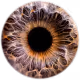 Organicus
