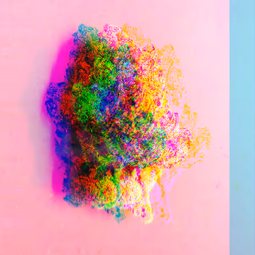 OpenSea banner for @Lanani