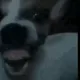 0xa8401e1e02b5556d4fbea2a78706ee27be77dc54